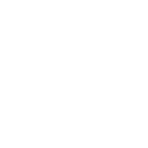  Raute Icon
